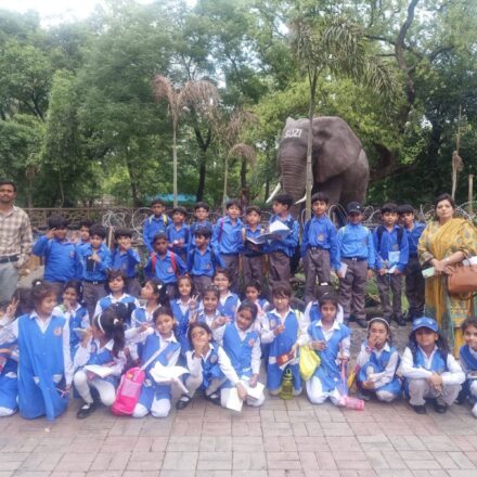 Educational Trip